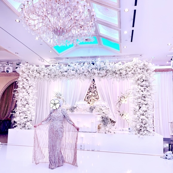 Gorgeous Silver Couture Cap Gown - Picture 2 of 6